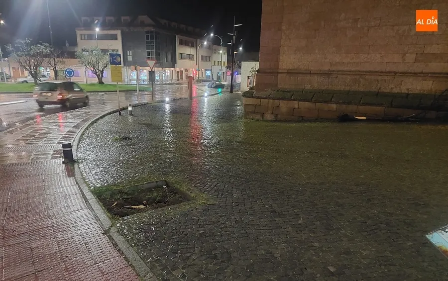 Foto 4 - Un conductor se lleva por delante otro &aacute;rbol en la zona del Cruce