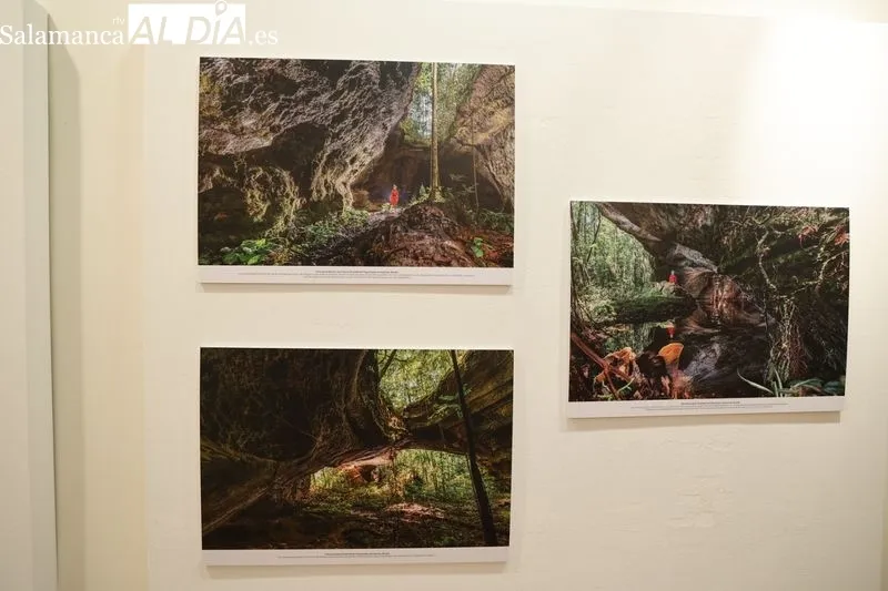 Exposición 'Amazonia invisible'  | FOTOS: David Sañudo 