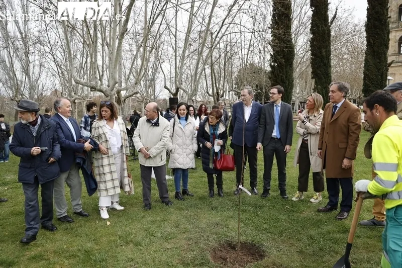 ‘Bosque de la Cultura’. Fotos: David Sañudo.