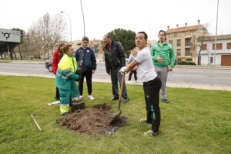 ‘Bosque de la Cultura’. Fotos: David Sañudo.