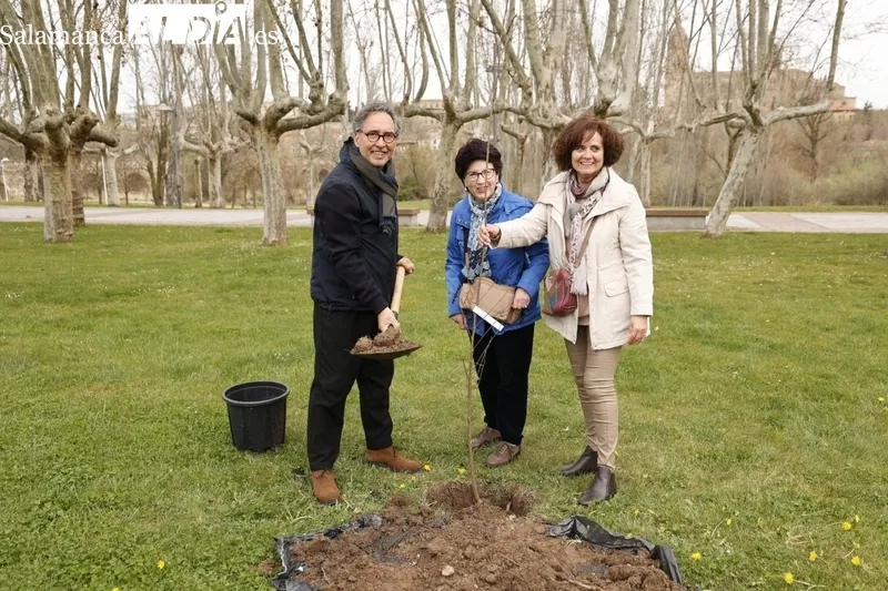 ‘Bosque de la Cultura’. Fotos: David Sañudo.