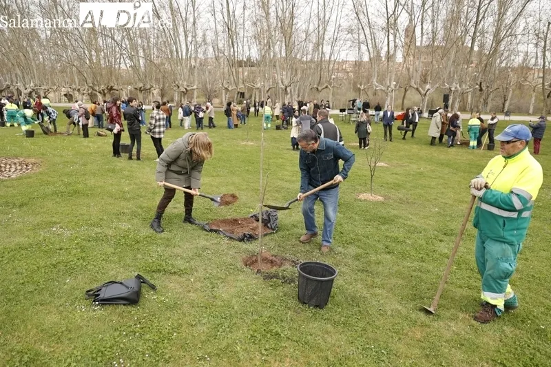 ‘Bosque de la Cultura’. Fotos: David Sañudo.