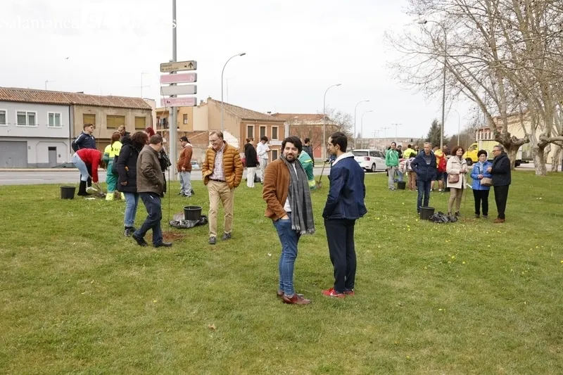 ‘Bosque de la Cultura’. Fotos: David Sañudo.