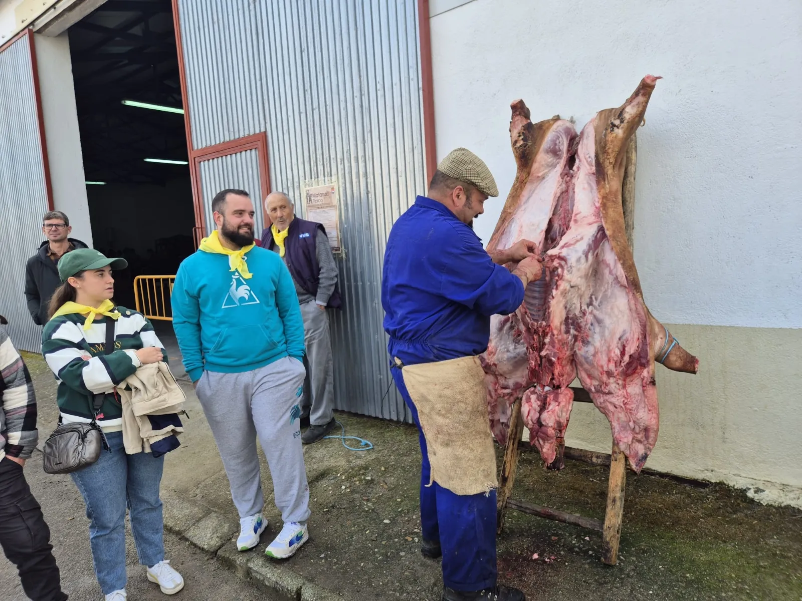 Aldeaseca celebra su IX Matanza Típica