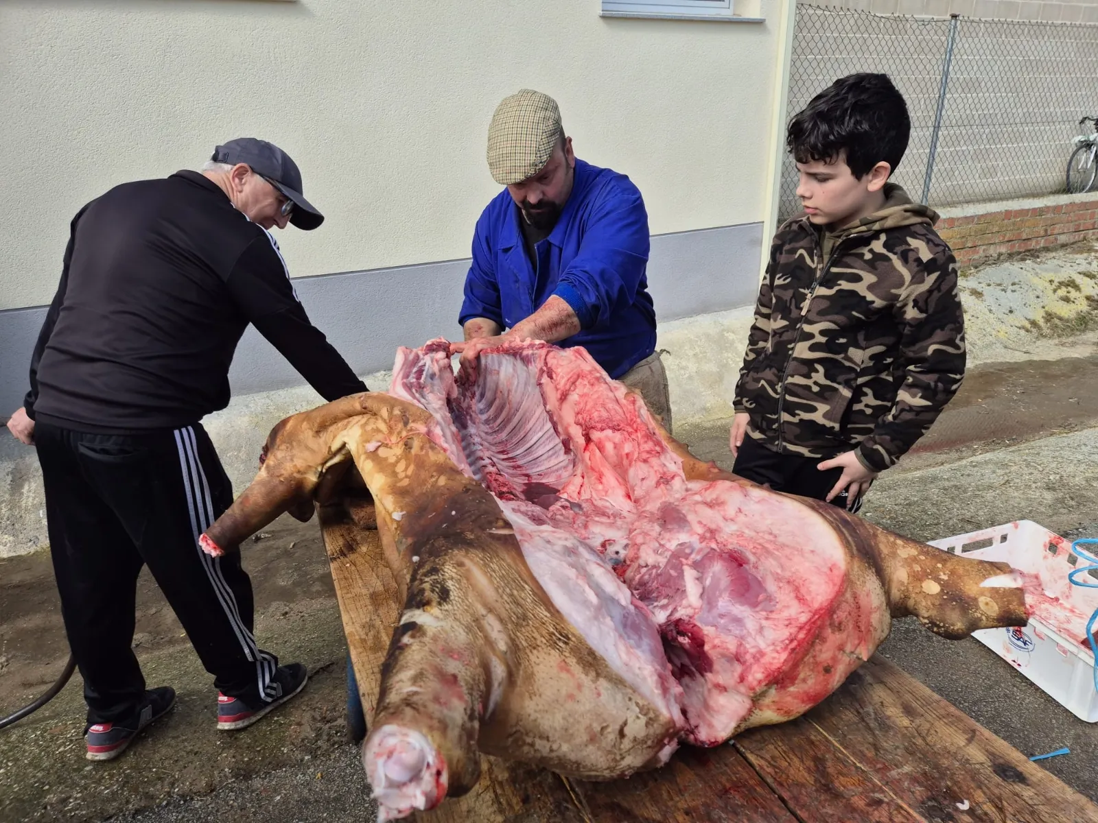 Aldeaseca celebra su IX Matanza Típica