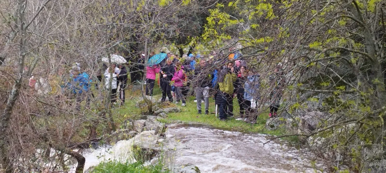 Foto 2 - M&aacute;s de 200 personas desaf&iacute;an a la lluvia y participan en la II Marcha Inclusiva en favor de Aspaym