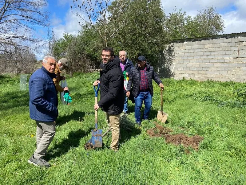 Plantación del olivo en Miranda del Azán por la Asociación Hispano Árabe de Salamanca en colaboración con el Ayuntamiento de la localidad