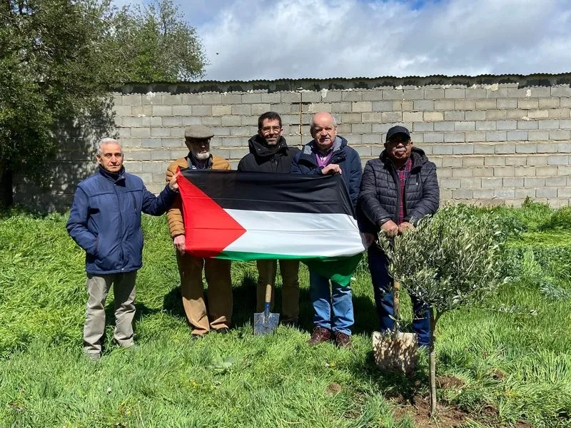Plantación del olivo en Miranda del Azán por la Asociación Hispano Árabe de Salamanca en colaboración con el Ayuntamiento de la localidad