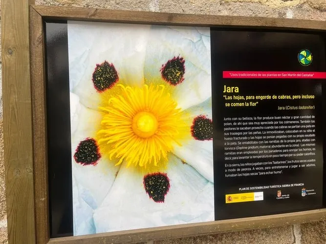 San Martín del Castañar se llena de jardineras informativas 
