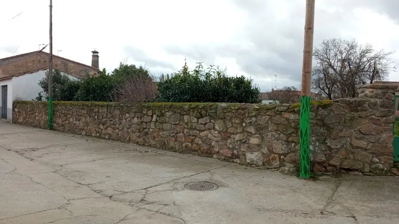 Intervención artística de María Riera en Aldearrodrigo.