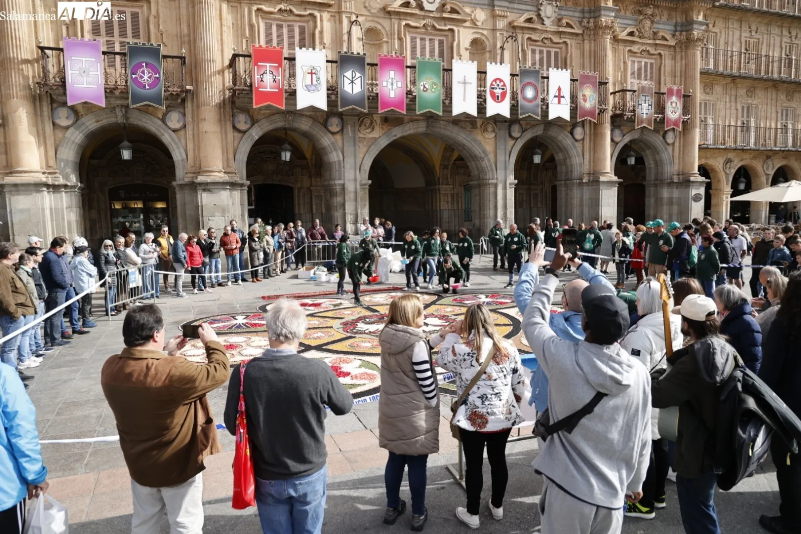 Alfombra de flores en la Plaza Mayor. Fotos: David Sañudo.