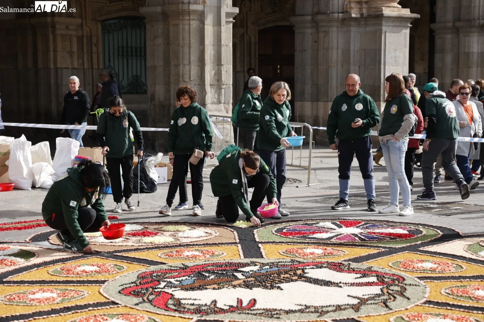 Alfombra de flores en la Plaza Mayor. Fotos: David Sañudo.