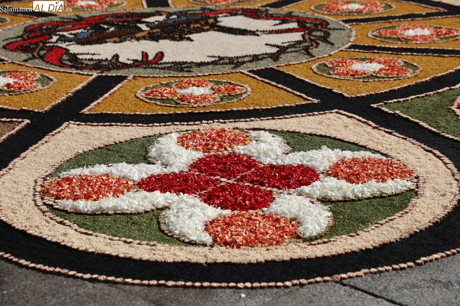 Alfombra de flores en la Plaza Mayor. Fotos: David Sañudo.