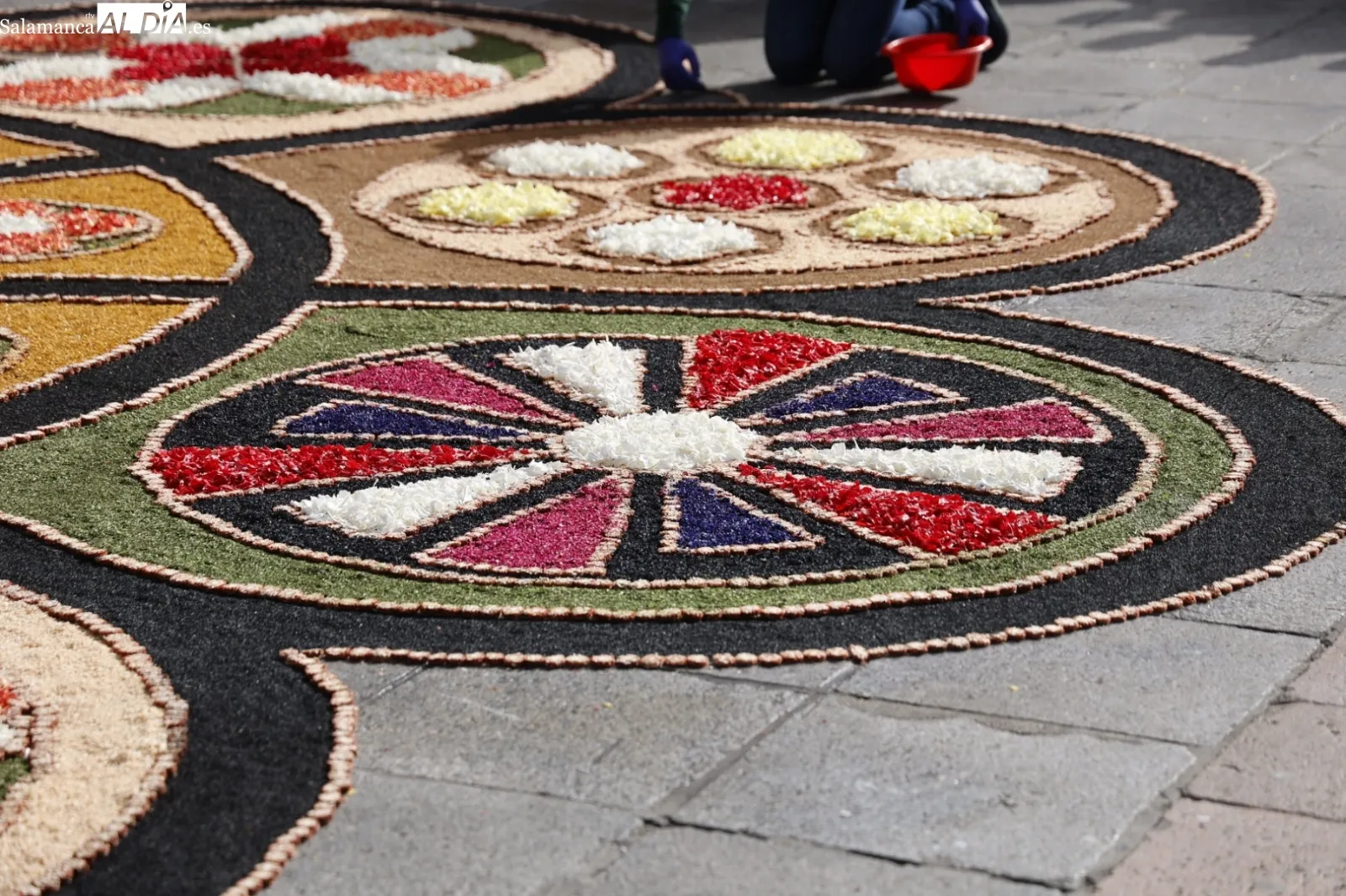 Alfombra de flores en la Plaza Mayor. Fotos: David Sañudo.