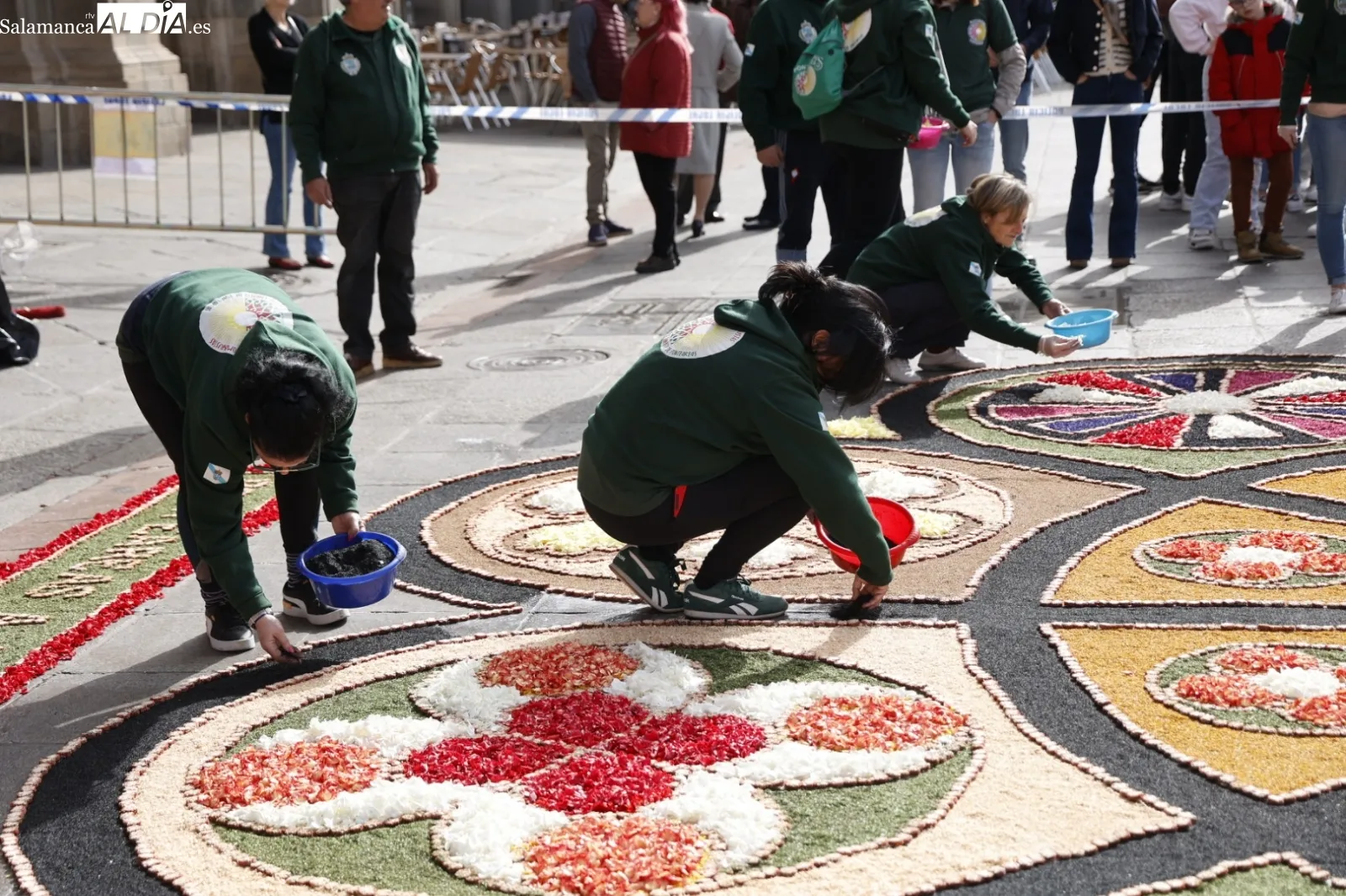 Alfombra de flores en la Plaza Mayor. Fotos: David Sañudo.