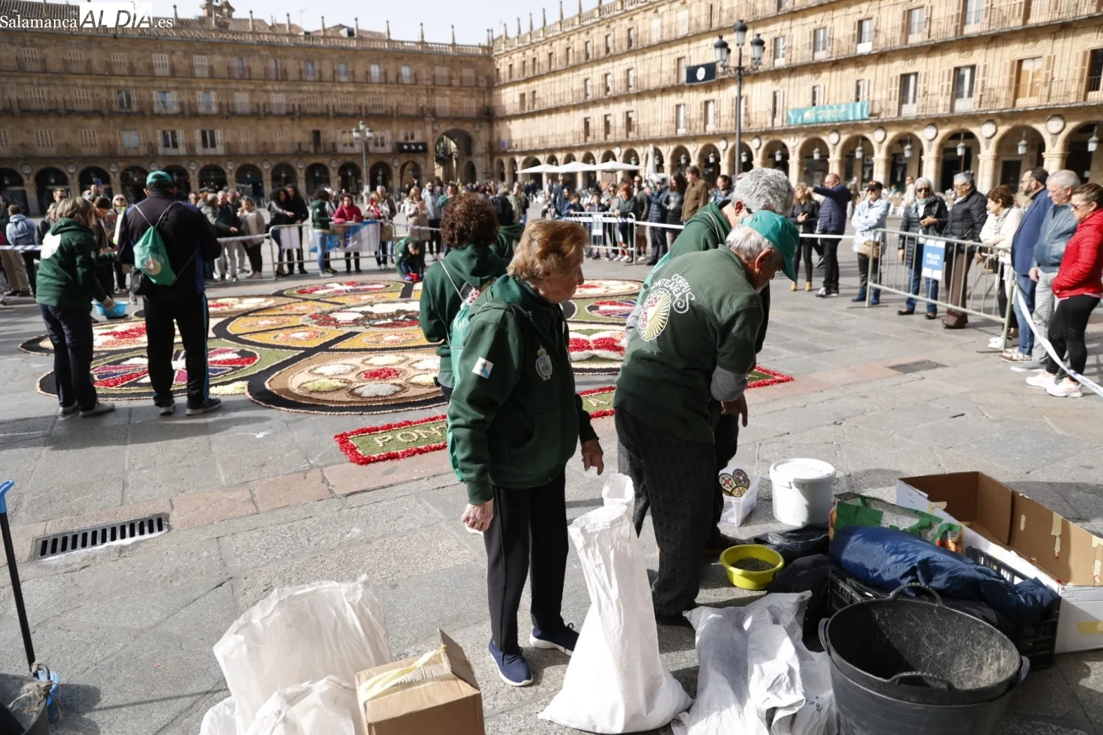 Alfombra de flores en la Plaza Mayor. Fotos: David Sañudo.