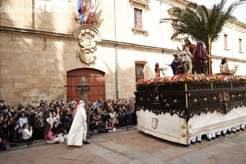 Procesión de la Borriquilla. Fotos: David Sañudo.