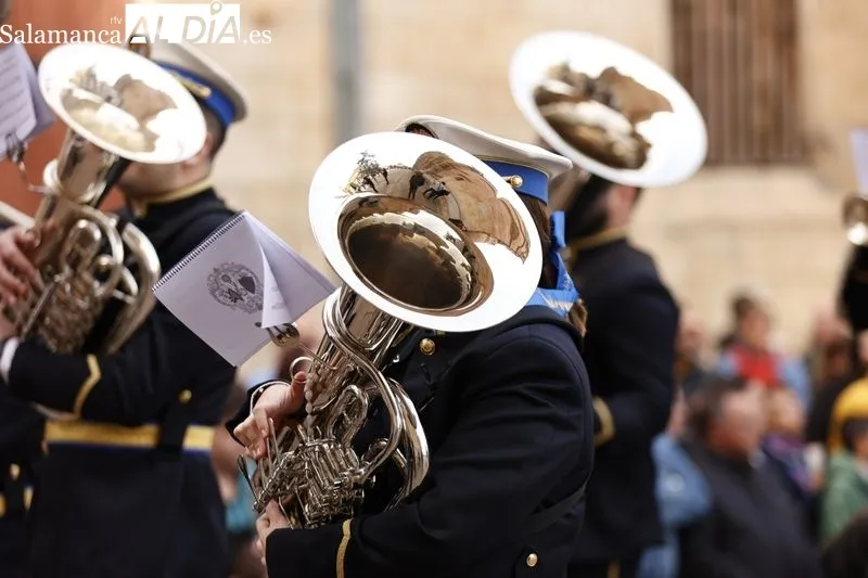 Procesión de la Borriquilla. Fotos: David Sañudo.