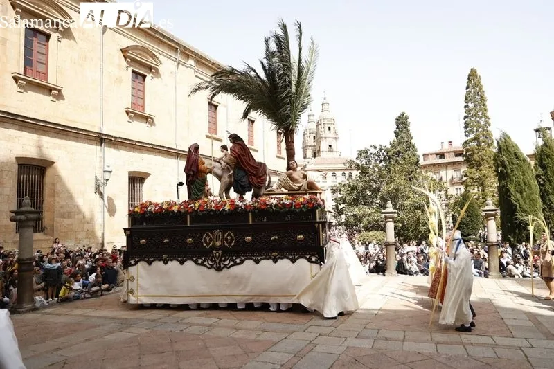 Procesión de la Borriquilla. Fotos: David Sañudo.