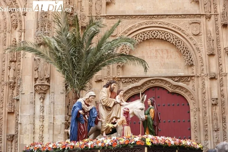Procesión de la Borriquilla. Fotos: David Sañudo.