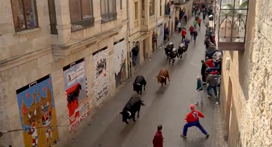 Creado en Ciudad Rodrigo el vídeo promocional de la Real Unión de Criadores de Toros de Lidia