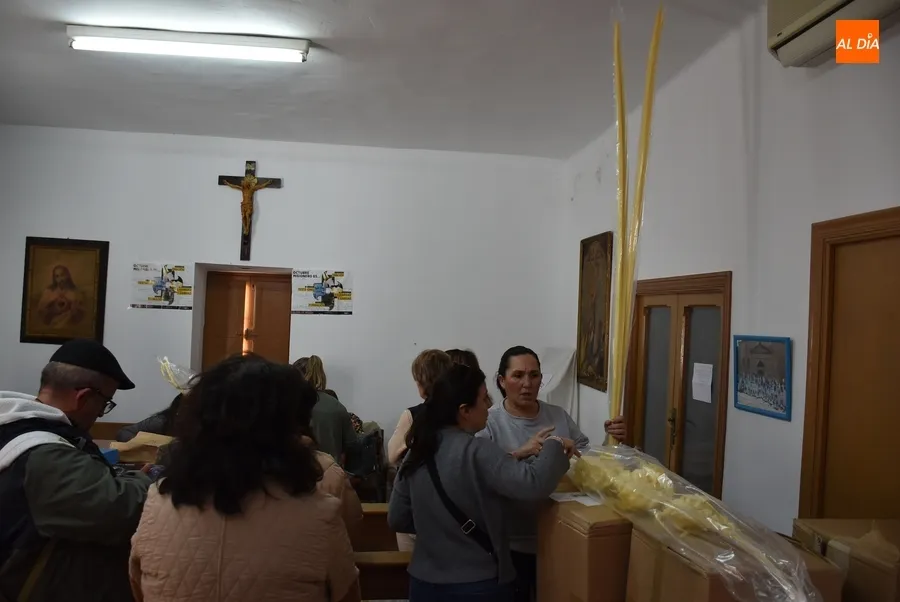 Foto 5 - Repartidas las primeras palmas para acompa&ntilde;ar a La Borriquilla el Domingo de Ramos