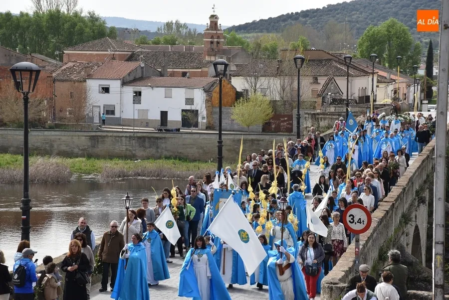 Foto 10 - El Reloj Suelto da la bienvenida a La Borriquilla en su llegada al centro hist&oacute;rico