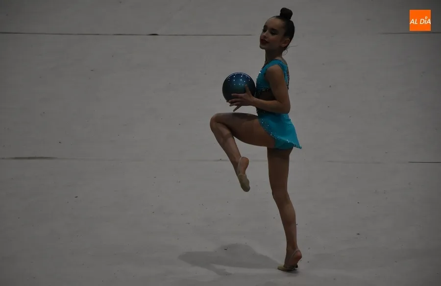 Foto 8 - Enorme fiesta de la R&iacute;tmica en Mir&oacute;briga con cerca de 200 gimnastas de toda la provincia