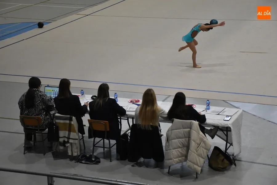 Foto 9 - Enorme fiesta de la R&iacute;tmica en Mir&oacute;briga con cerca de 200 gimnastas de toda la provincia