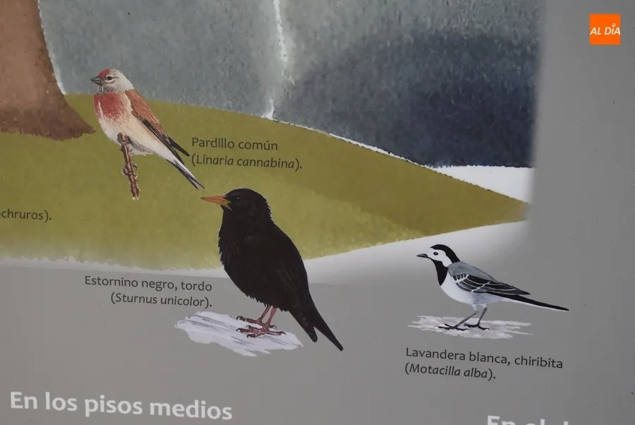Foto 8 - Instalados en La Florida dos paneles divulgativos para fomentar el turismo de naturaleza
