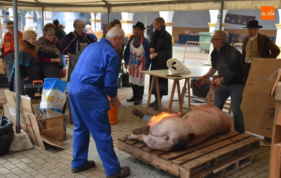 Foto 9 - Ciudad Rodrigo vive una Feria de Botijeros pasada por agua pero con cierto ambiente