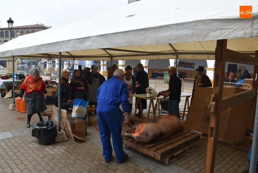 Foto 10 - Ciudad Rodrigo vive una Feria de Botijeros pasada por agua pero con cierto ambiente