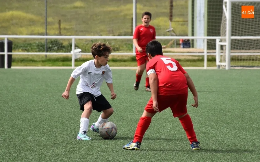 Foto 6 - #M [23-24 MAR] El Benjam&iacute;n del Ciudad Rodrigo remonta al Ribert para reencontrarse con la victoria