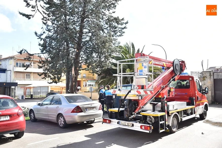 Foto 5 - Cede por culpa del viento una rama de grandes dimensiones en la Avenida de Salamanca