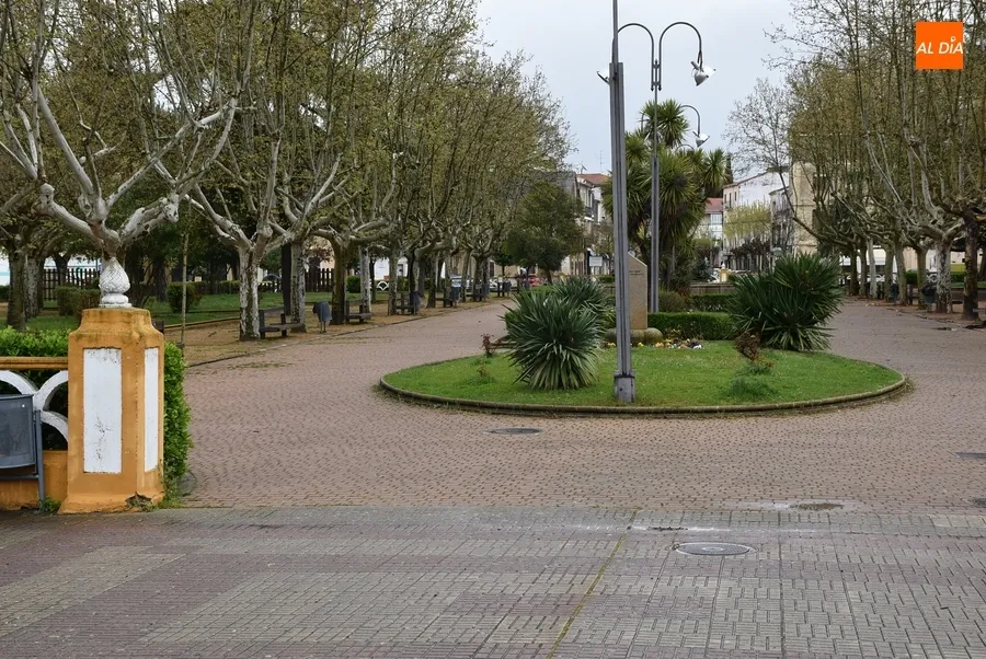 Foto 4 - Reabiertos La Glorieta y La Florida con multitud de ramas como recuerdo de las fuertes rachas