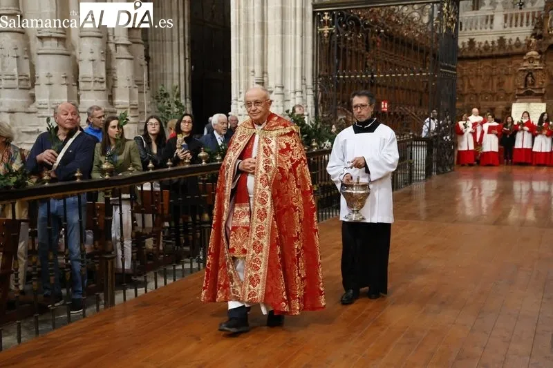 Bendición de las Palmas en el Domingo de Ramos. Fotos: David Sañudo 