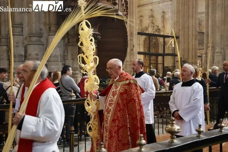 Bendición de las Palmas en el Domingo de Ramos. Fotos: David Sañudo 