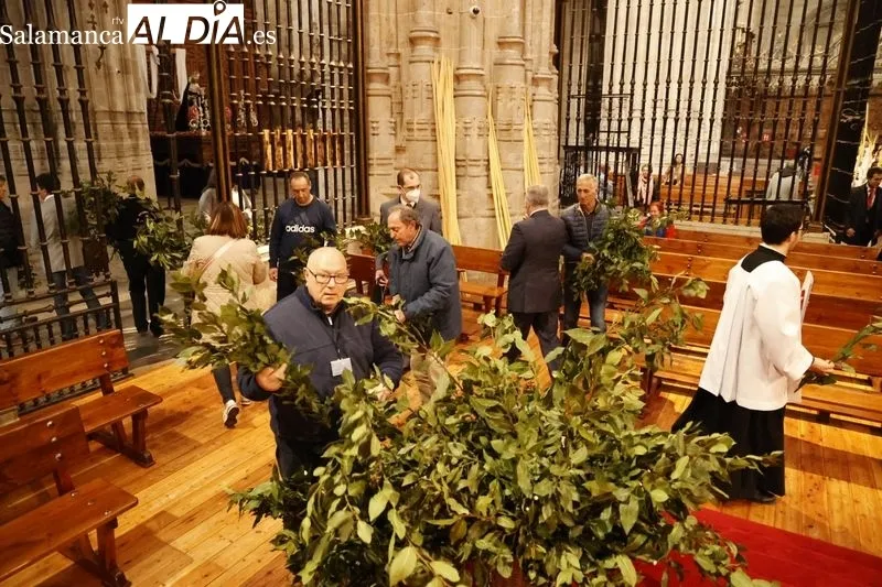 Bendición de las Palmas en el Domingo de Ramos. Fotos: David Sañudo 