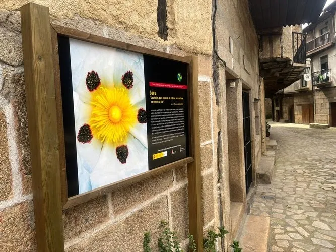 San Martín del Castañar se llena de jardineras informativas 
