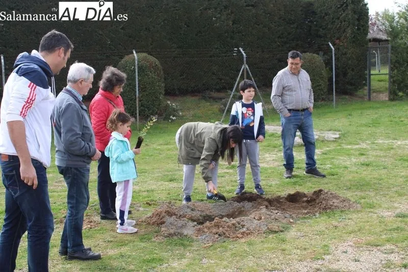 Foto 6 - Alba de Tormes celebra el D&iacute;a del &Aacute;rbol con una plantaci&oacute;n en El Pinar