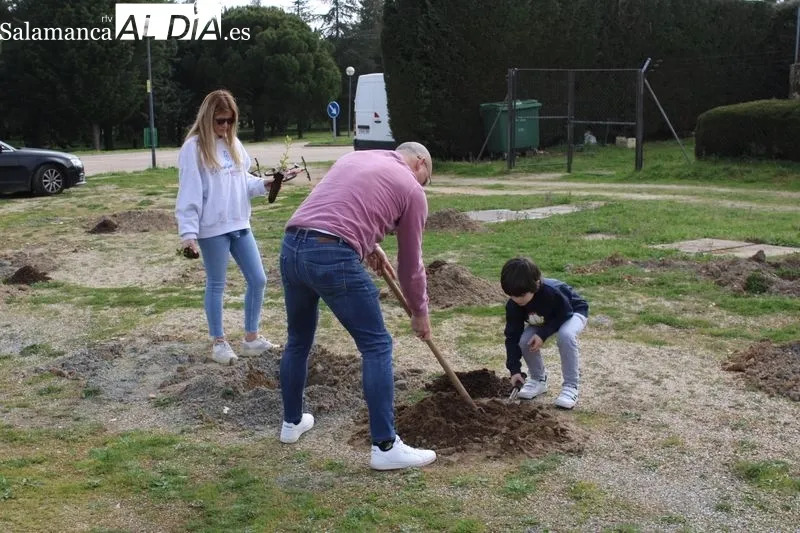 Foto 5 - Alba de Tormes celebra el D&iacute;a del &Aacute;rbol con una plantaci&oacute;n en El Pinar