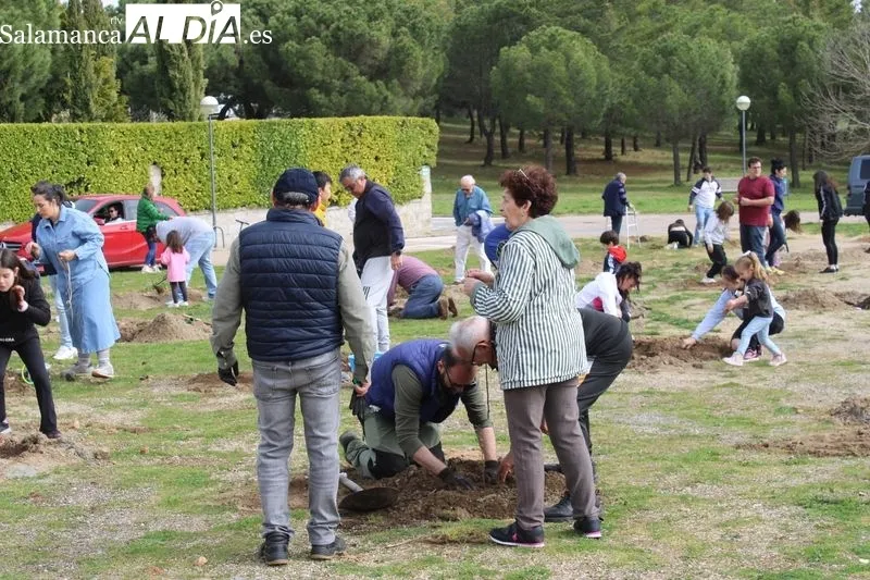 Foto 4 - Alba de Tormes celebra el D&iacute;a del &Aacute;rbol con una plantaci&oacute;n en El Pinar