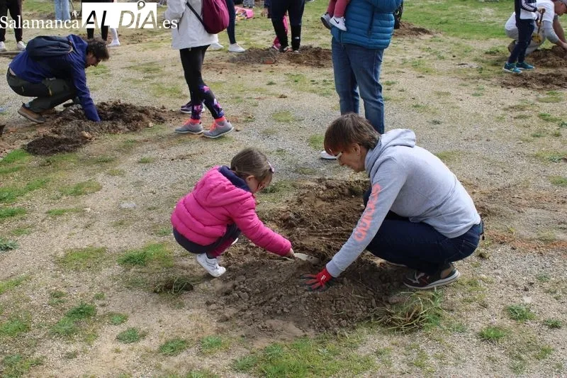 Foto 3 - Alba de Tormes celebra el D&iacute;a del &Aacute;rbol con una plantaci&oacute;n en El Pinar
