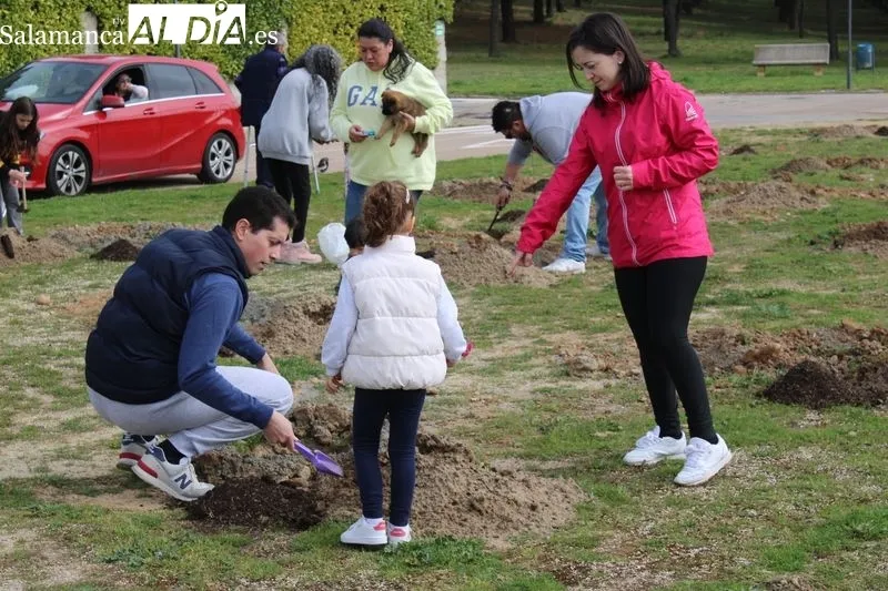 Foto 10 - Alba de Tormes celebra el D&iacute;a del &Aacute;rbol con una plantaci&oacute;n en El Pinar