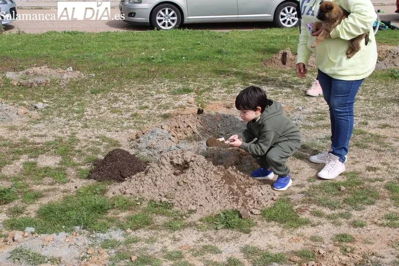Foto 9 - Alba de Tormes celebra el D&iacute;a del &Aacute;rbol con una plantaci&oacute;n en El Pinar