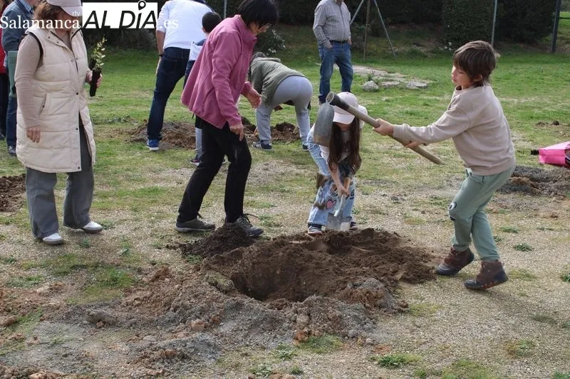 Foto 7 - Alba de Tormes celebra el D&iacute;a del &Aacute;rbol con una plantaci&oacute;n en El Pinar