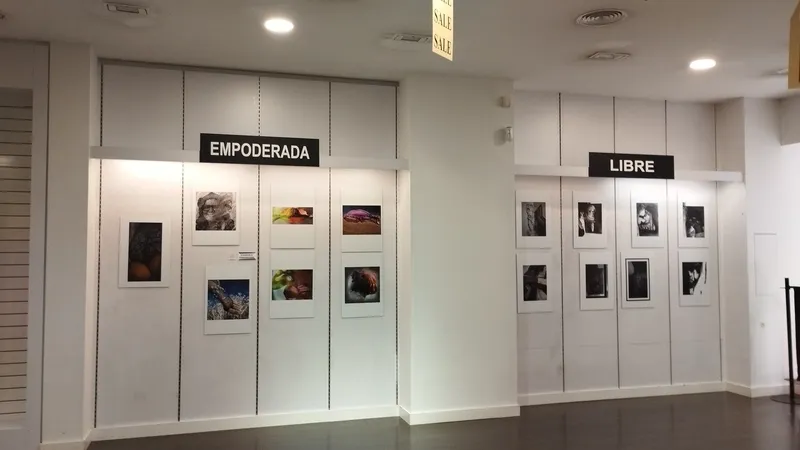 Inauguración de la exposición de fotoescaparatismo de Lucía Vicente Ezcurra en el CC El Tormes.