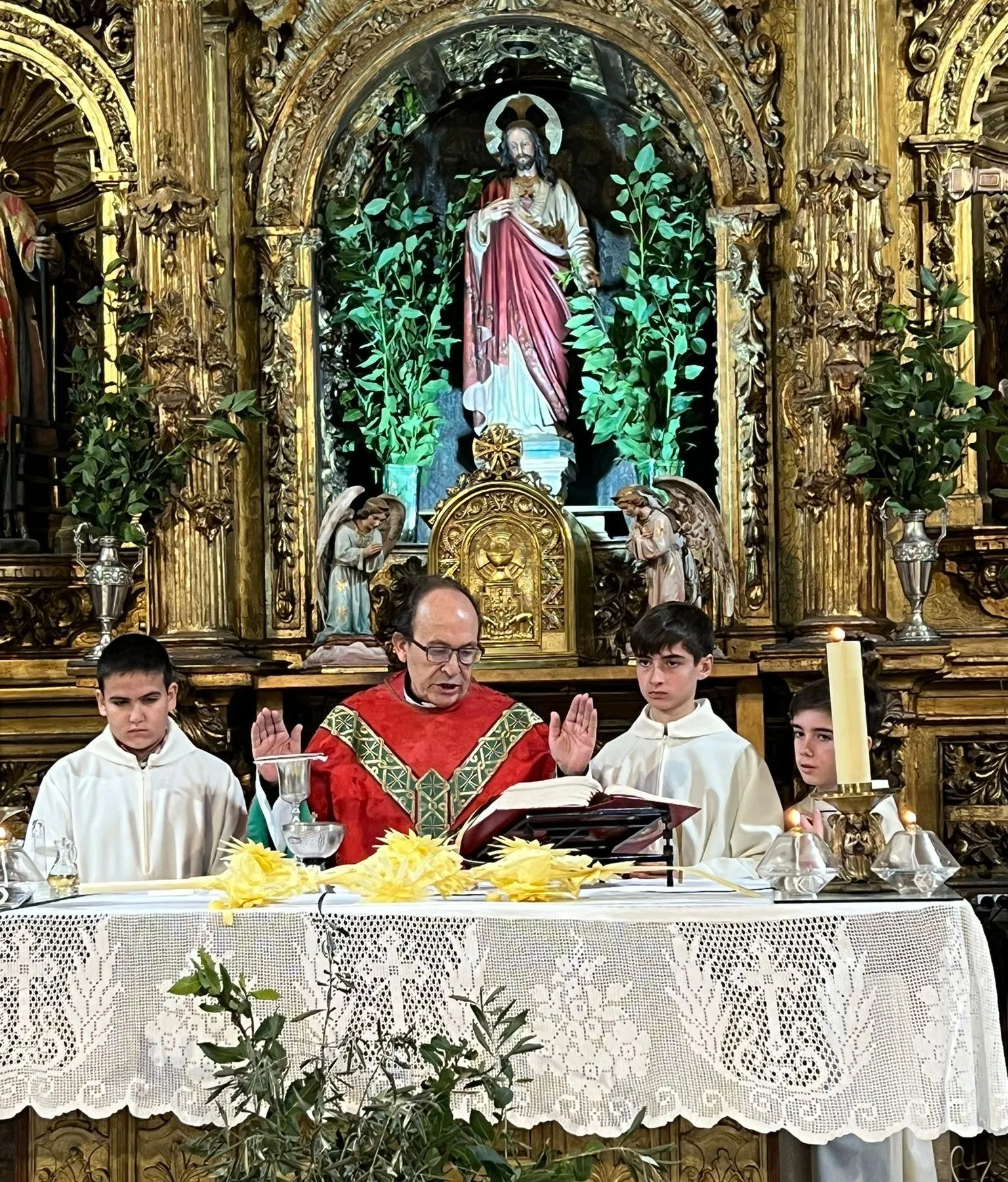 Foto 11 - San Andr&eacute;s se llena de laurel con motivo del Domingo de Ramos
