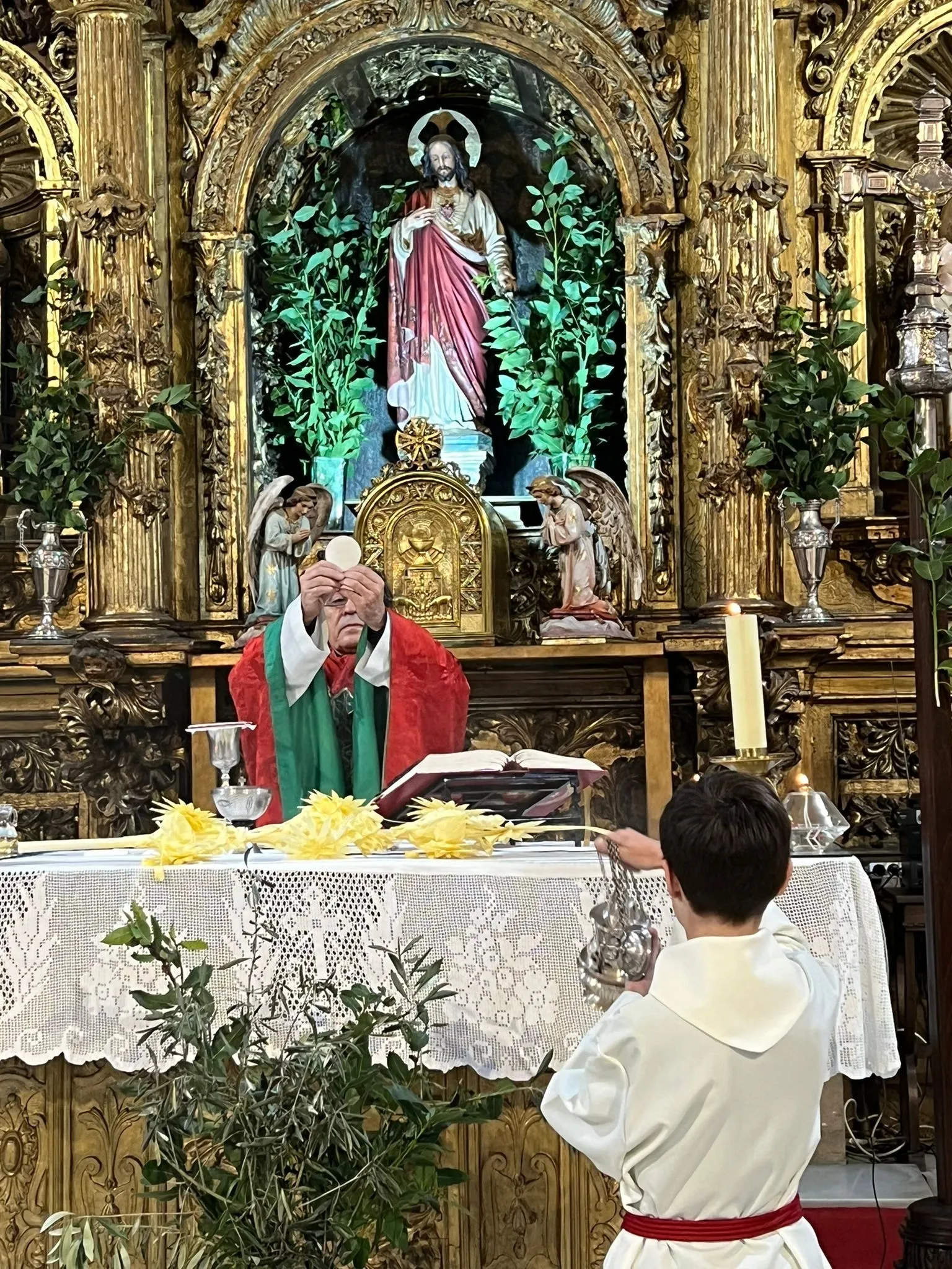 Foto 10 - San Andr&eacute;s se llena de laurel con motivo del Domingo de Ramos