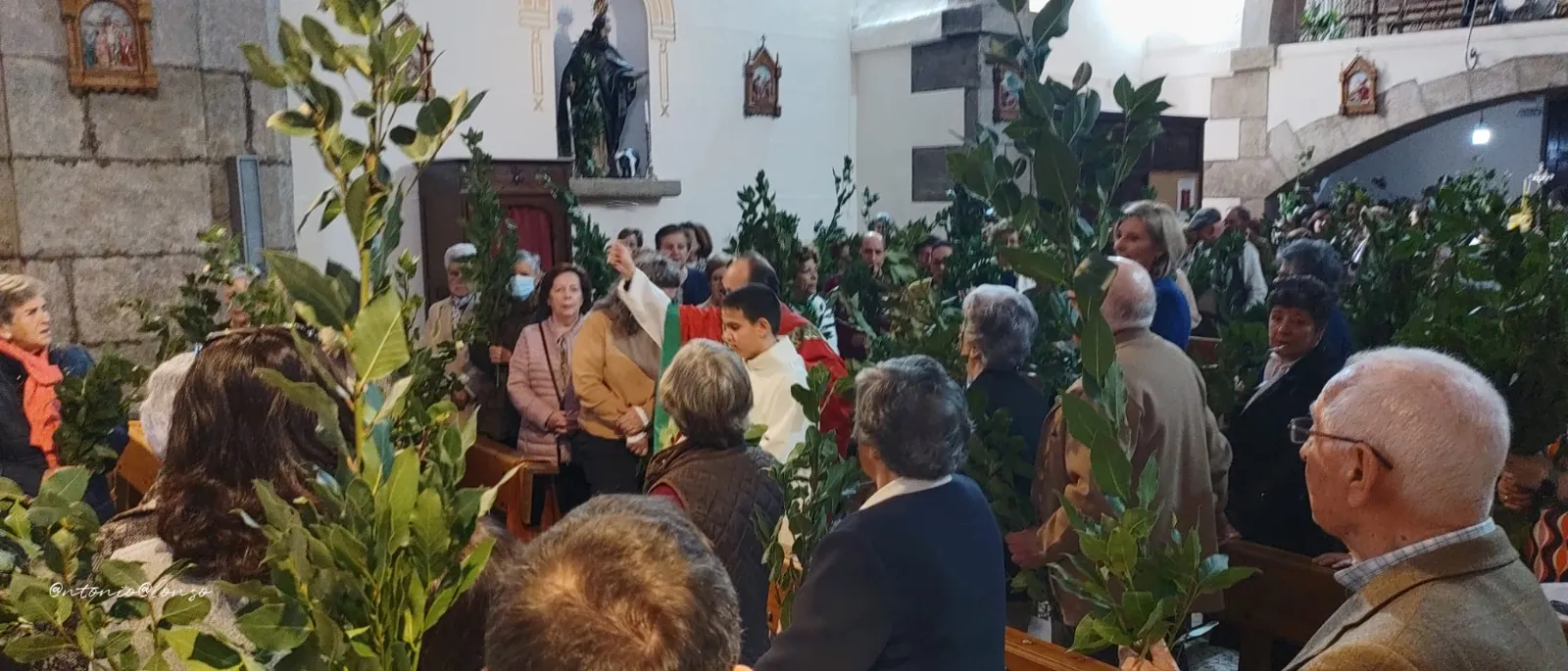 Foto 7 - San Andr&eacute;s se llena de laurel con motivo del Domingo de Ramos